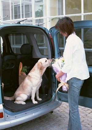 【輸入車部品専門】PartsWeb（パーツウエブ）大衆自動車商会あいち店の概要と特徴