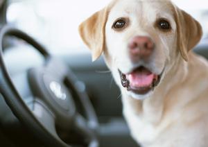 Ｃ山口：地域密着の信頼できるサービスを提供する店舗